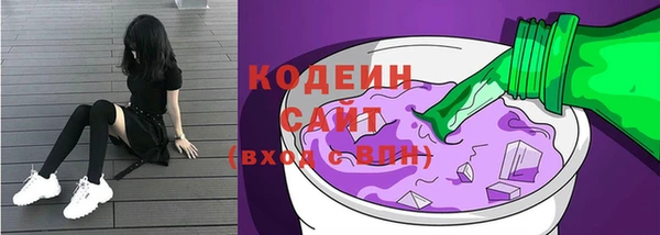шишки Коряжма