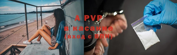 шишки Коряжма