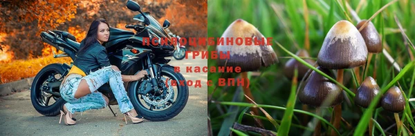 кристаллы Корсаков