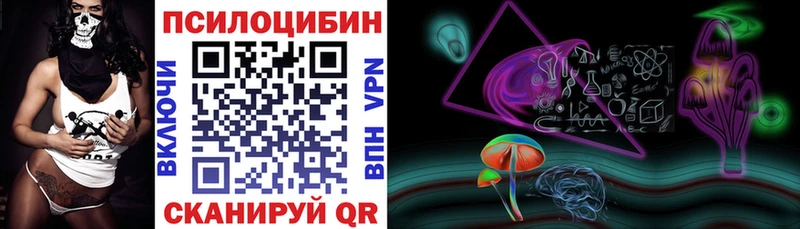 Псилоцибиновые грибы Cubensis  Курлово 